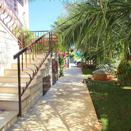 Aster Novigrad Istria